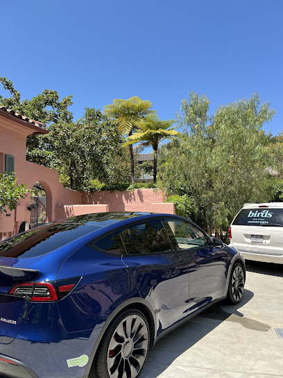 Birds Auto Detail and Ceramic Coatings