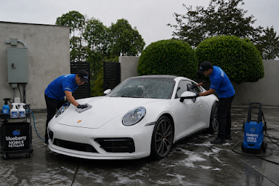 Blueberry San Diego Mobile Detailing