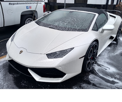 Mega Shine Mobile Detailing LLC.