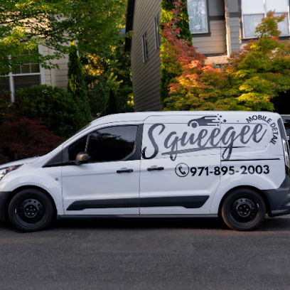Squeegee Car Detailing