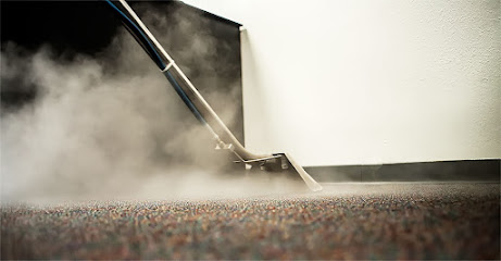 The Carpet Doctors LLC